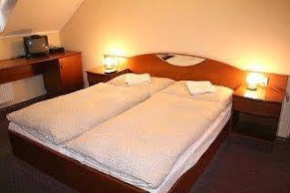 פראג Hotel U Hvezdy מראה חיצוני תמונה